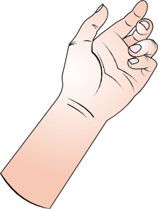 Holding Hand Clip Art